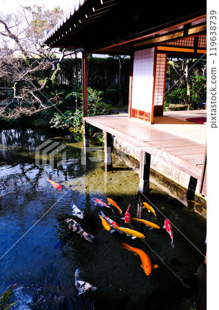 Shimeiso 花園的泉水 Shimeiso 花園的泉水 119638739