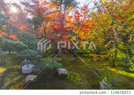 紅葉覆蓋的京都玄山總修院庭園 119638831