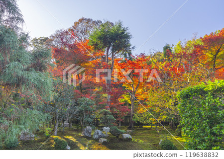 紅葉覆蓋的京都玄山總修院庭園 119638832