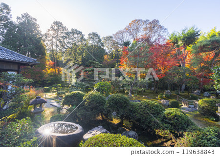 紅葉覆蓋的京都玄山總修院庭園 119638843