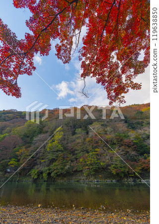 Kyoto Arashiyama Autumn leaves Katsura River area Rankyo 119638850