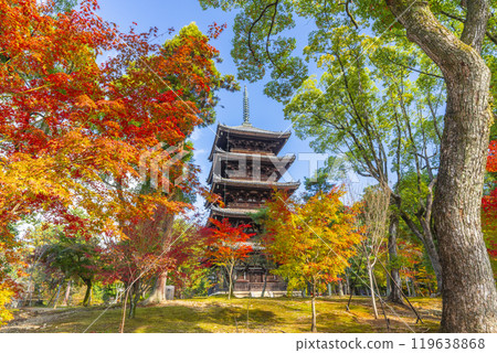 Ninnaji Temple, five-storied pagoda wrapped in autumn leaves (Ukyo Ward, Kyoto City) 119638868
