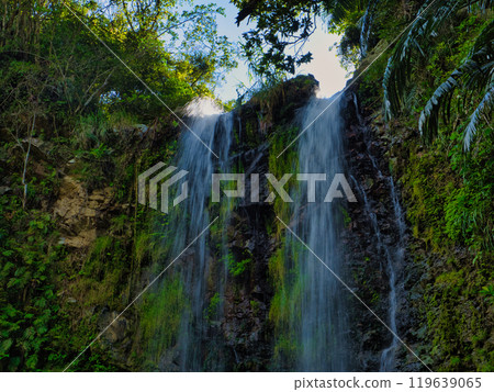 Ogimi Village, Okinawa Prefecture, Ta Falls, famous as a place of healing 119639065