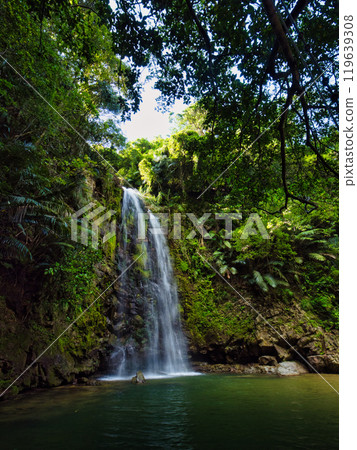 Ogimi Village, Okinawa Prefecture, Ta Falls, famous as a place of healing 119639308
