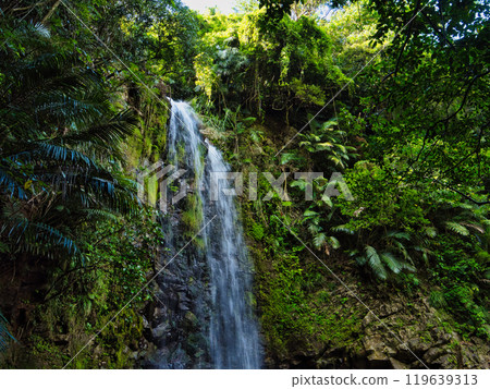 Ta Falls in Ogimi Village, Okinawa Prefecture 119639313