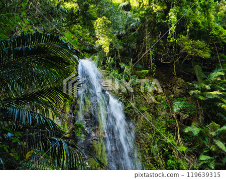 Ogimi Village, Okinawa Prefecture, Ta Falls, famous as a place of healing 119639315
