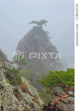 Foggy view at the mountain. Foggy view at the mountain. 119639334