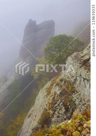 Foggy view at the mountain. Foggy view at the mountain. 119639335