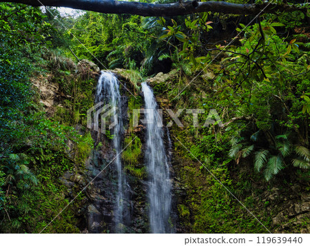 Ogimi Village, Okinawa Prefecture, Ta Falls, famous as a place of healing 119639440