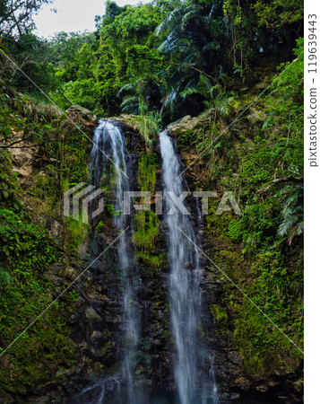 Ogimi Village, Okinawa Prefecture, Ta Falls, famous as a place of healing 119639443