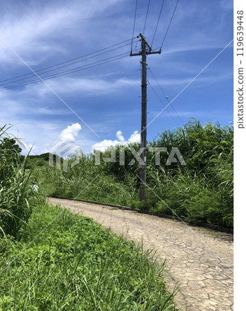 通往大海的路 通往大海的路 119639448