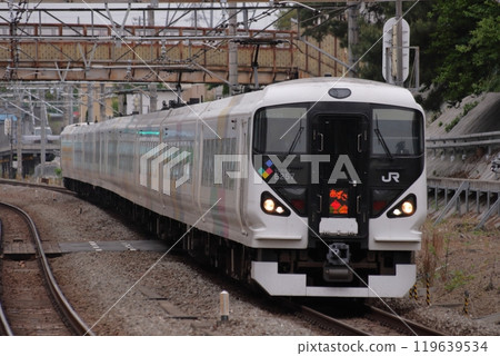 運行在東京西部的Azusa E257列車_攝於2010年5月10日 119639534