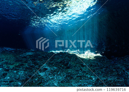 宮古島的水下風景 119639716