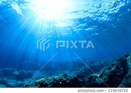 宮古島的水下風景 119639720