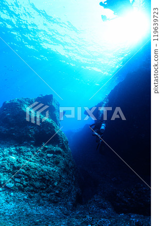 宮古島的水下風景 宮古島的水下風景 119639723