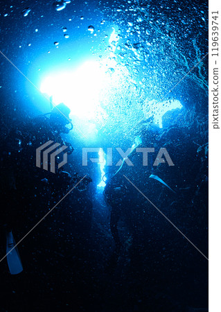 宮古島的水下風景 119639741