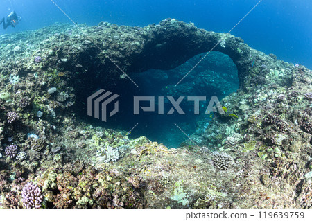 Underwater scenery Miyakojima Underwater scenery Miyakojima 119639759