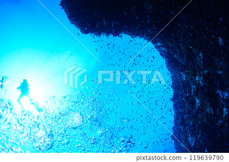 Underwater scenery Miyakojima 119639790