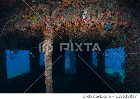沉船,水下風景,宮古島 沉船,水下風景,宮古島 119639817