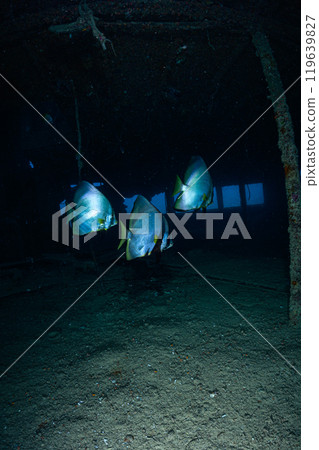 Sunken ship, underwater scenery, Miyakojima Sunken ship, underwater scenery, Miyakojima 119639827