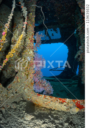Sunken ship, underwater scenery, Miyakojima 119639832