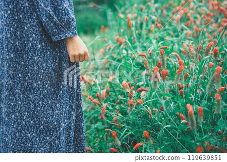 Strawberry candles and a woman blooming in a flower farm 119639851