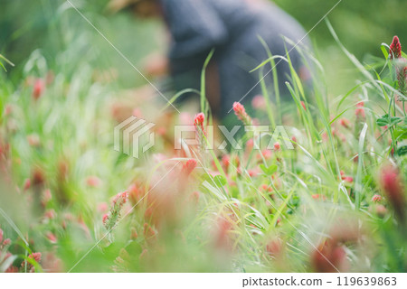生產草莓蠟燭的花農 119639863