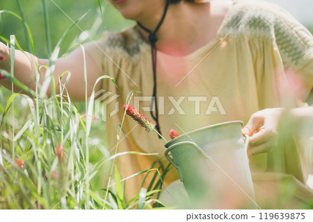 草莓蠟燭採花 119639875