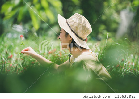 Strawberry candle flower picking 119639882