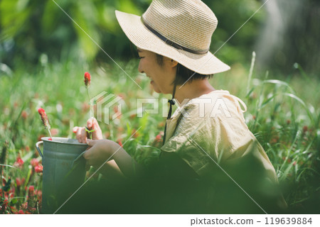 Strawberry candle flower picking 119639884