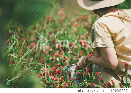 草莓蠟燭採花 119639892