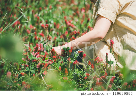 草莓蠟燭採花 119639895