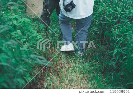 Walking through the grass with a camera 119639901