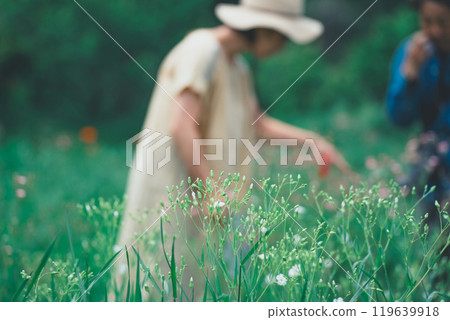 在花卉農場採摘鮮花 119639918