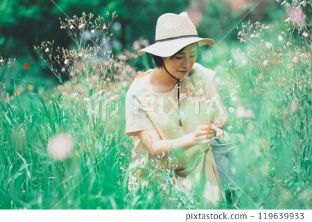 Picking Saponaria flowers Picking Saponaria flowers 119639933