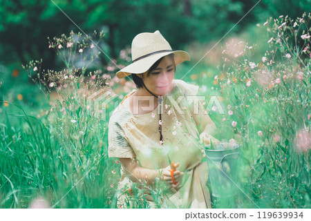 A woman picking saponaria in a flower field 119639934