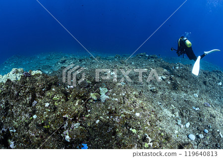 Underwater scenery Miyakojima Underwater scenery Miyakojima 119640813