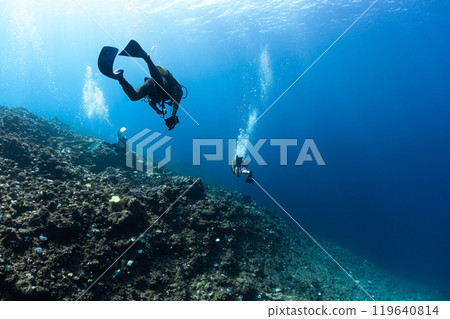 宮古島的水下風景 119640814