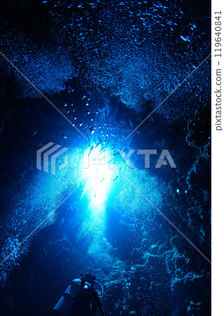 Underwater scenery Miyakojima 119640841