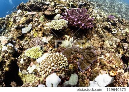 Underwater scenery Miyakojima 119640875