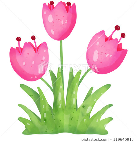 Hand-painted watercolor painting of pink flowers for illustration purposes. 119640913