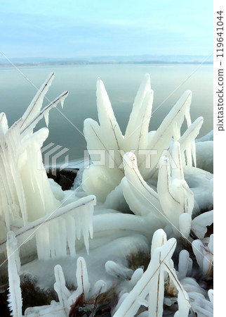 Landscape with frostbitten trees by winter lake 119641044