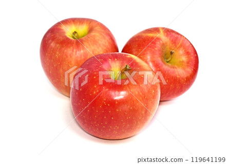 Apple (Akita Fuji) Apple (Akita Fuji) 119641199