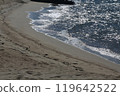 coast 119642522