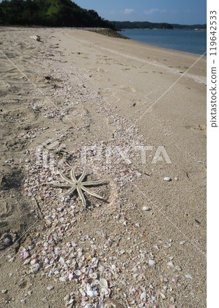coast coast 119642533