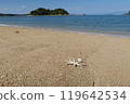 Beach 119642534