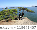 View of Matsushima Coast from Umanose View of Matsushima Coast from Umanose 119643407