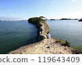 View of Matsushima Coast from Umanose View of Matsushima Coast from Umanose 119643409