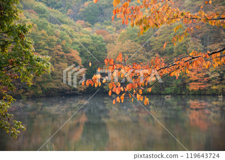 裡磐梯秋天的鋸齒沼沼 119643724
