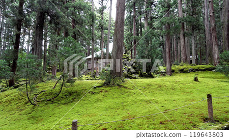 Heizenji Temple Hakusan Shrine 119643803